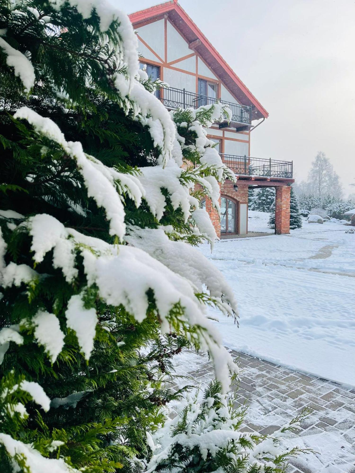 Jurvinge Hotel Zadvainai Exterior foto