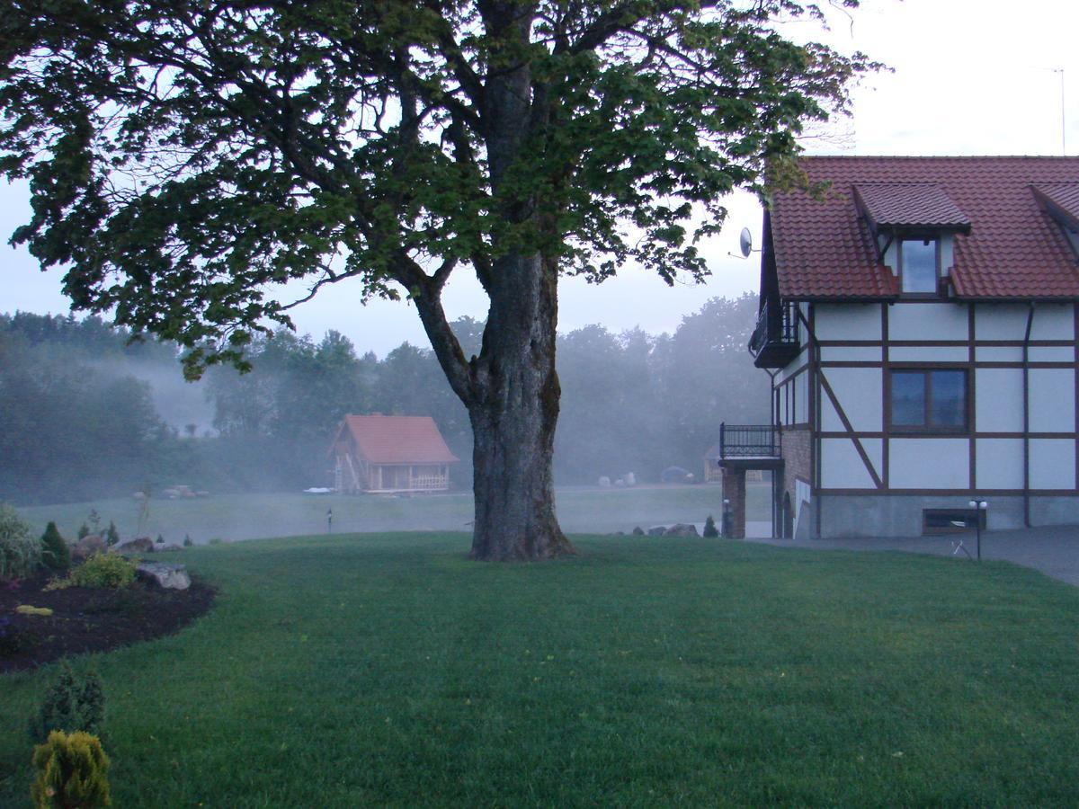 Jurvinge Hotel Zadvainai Exterior foto